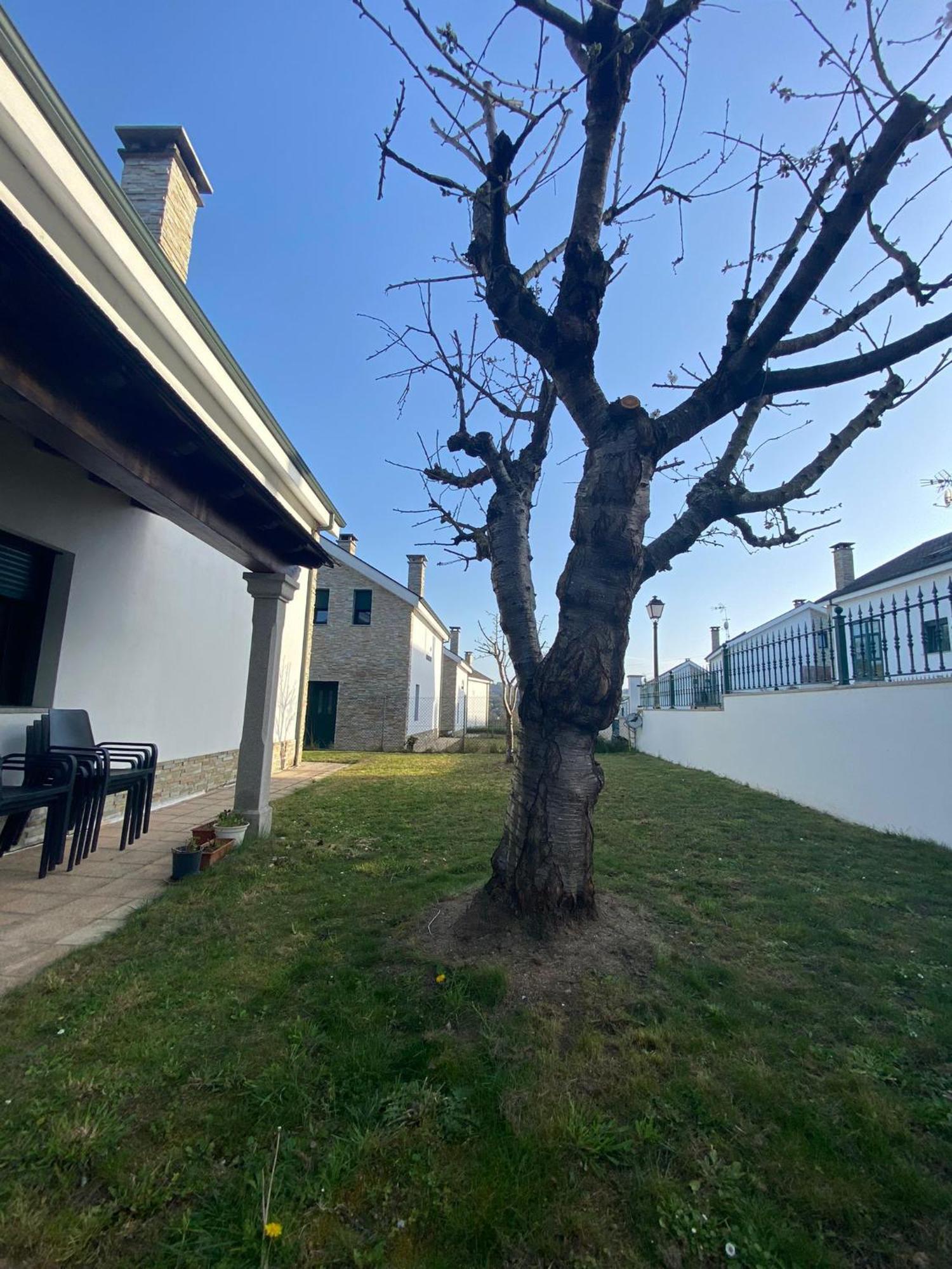 ポルトマリン Casa Do Alouminoヴィラ エクステリア 写真